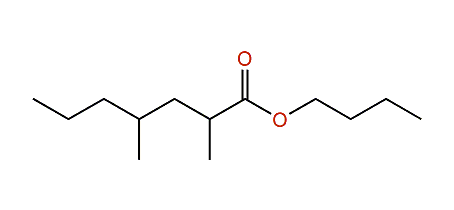 Butyl 2,4-dimethylheptanoate